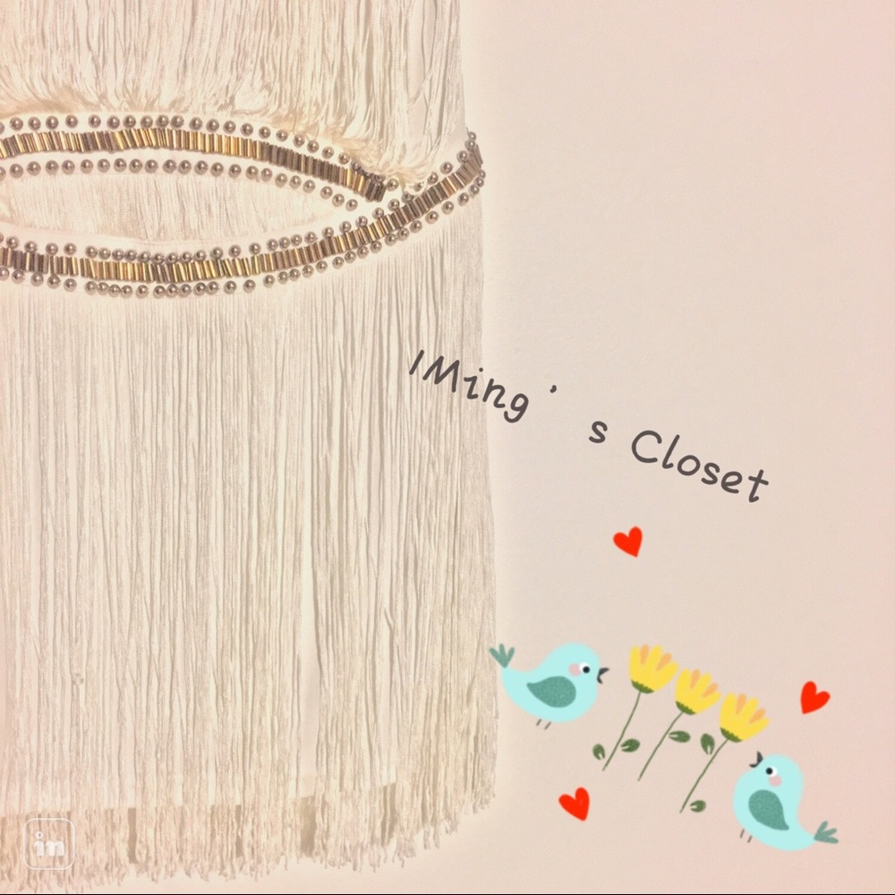 NWOT - Dropped waist fringed dress